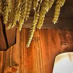 מלון Boutique-hotel & Wellness Goldenes Fass 4*