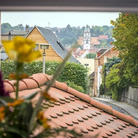Boutique-hotel & Wellness Goldenes Fass 4* Meißen