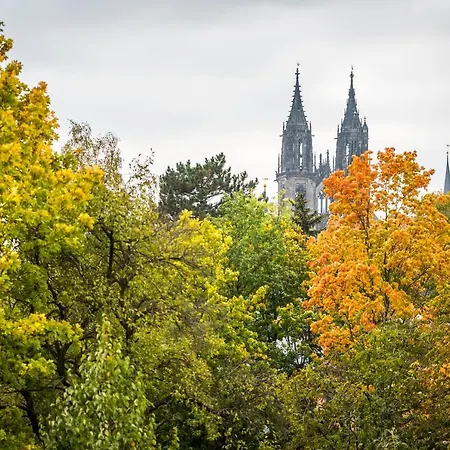 Отель Boutique-hotel & Wellness Goldenes Fass 4*