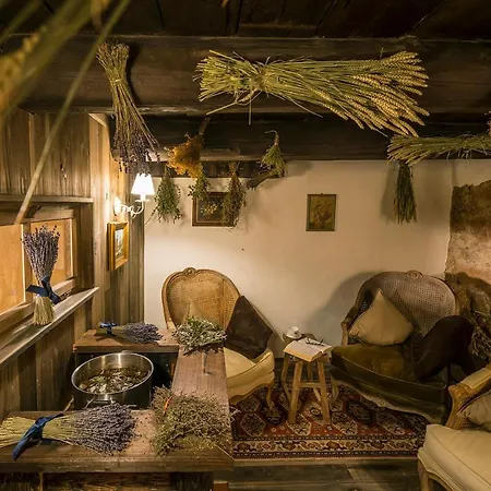 Boutique-hotel & Wellness Goldenes Fass Otel Meißen