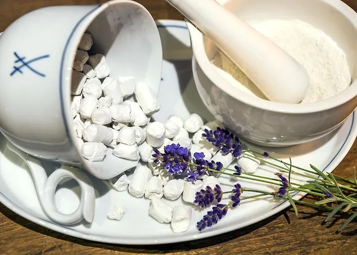 Hotel Boutique-hotel&wellness Goldenes Fass Meißen