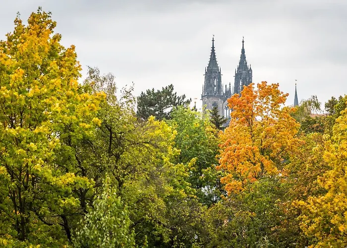 Hotel Boutique-hotel&wellness Goldenes Fass 4*